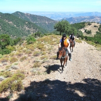 Escursione a cavallo in Barbagia