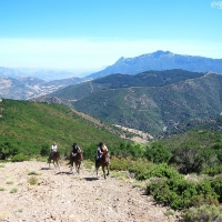 Orgosolo. Escursione a cavallo Barbagia a 360°