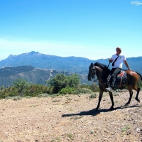 Orgosolo. Escursione a cavallo Barbagia a 360°