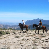 Orgosolo. Escursione a cavallo Barbagia a 360°