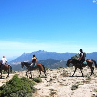 Orgosolo. Escursione a cavallo Barbagia a 360°