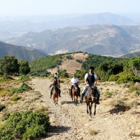 Orgosolo. Escursione a cavallo Barbagia a 360°