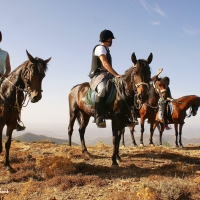 Orgosolo. Escursione a cavallo Barbagia a 360°