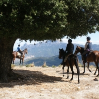 Orgosolo. Escursione a cavallo Barbagia a 360°