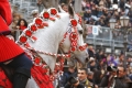 Equestrian Carnival “Sartiglia”